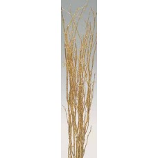 BIRCH BRANCHES 3'-4'-GOLD- OUT OF STOCK